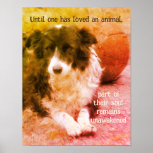 Border Collie and Ball Dog Art Inspirerend Poster