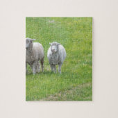 Border Collie and Ewe Legpuzzel (Verticaal)