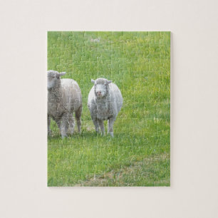 Border Collie and Ewe Legpuzzel