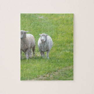 Border Collie and Ewe Legpuzzel
