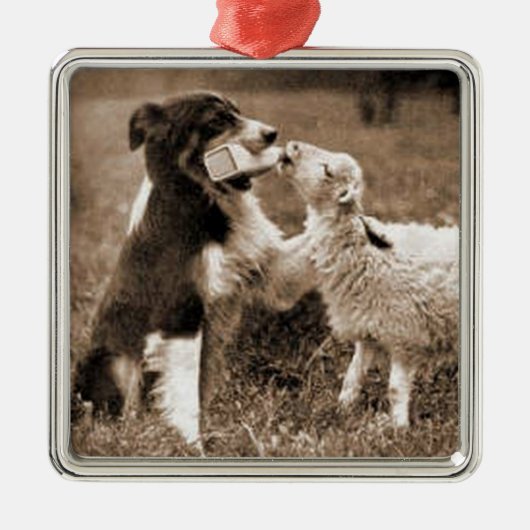 "Border Collie and Lamb"~Border Collie Ornament (Voorkant)