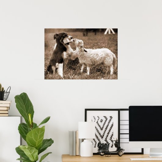 "Border Collie and Lamb"~Poster Poster (Thuiskantoor)