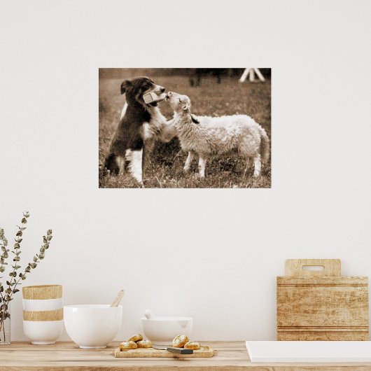 "Border Collie and Lamb"~Poster Poster (Keuken)