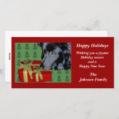 Border Collie Animal Christmas Holiday Kaart (Voorkant / Achterkant)
