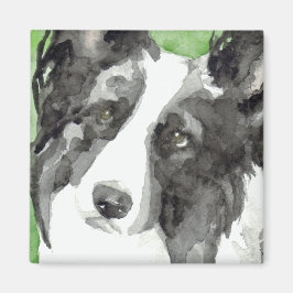 Border Collie Aquarel Magneet