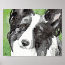 Border Collie Aquarel