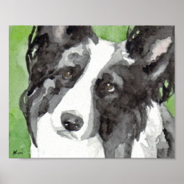 Border Collie Aquarel Poster