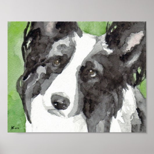 Border Collie Aquarel Poster (Voorkant)