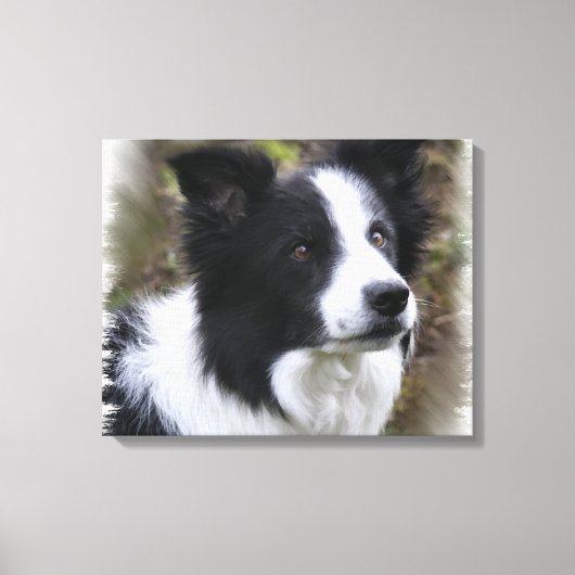 Border Collie Art Canvas Afdruk (Voorkant)