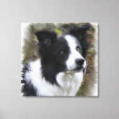 Border Collie Art Canvas Afdruk (Voorkant)