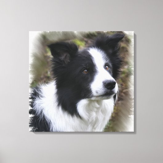 Border Collie Art Canvas Afdruk (Voorkant)