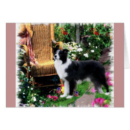 Border Collie Art Gifts