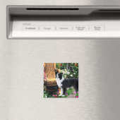 Border Collie Art Gifts Magneet (Insitu (Vaatwasser))