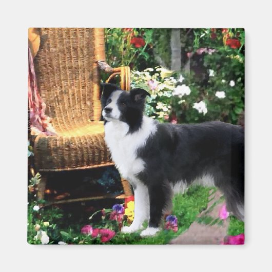 Border Collie Art Gifts Magneet (Voorkant)