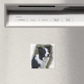 Border Collie Art Gifts Magneet (Insitu (Vaatwasser))
