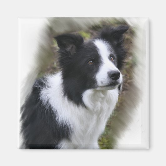 Border Collie Art Gifts Magneet (Voorkant)