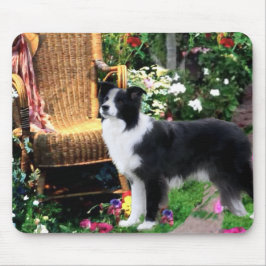 Border Collie Art Gifts Muismat