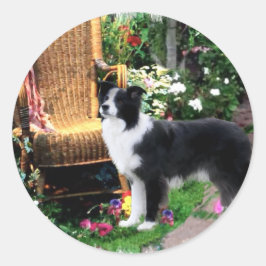 Border Collie Art Gifts Ronde Sticker
