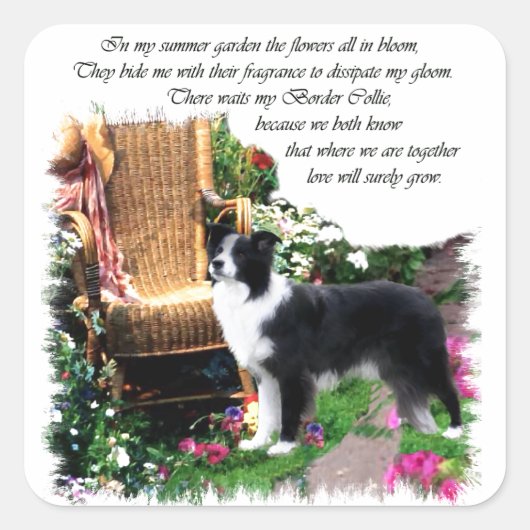 Border Collie Art Gifts Vierkante Sticker (Voorkant)