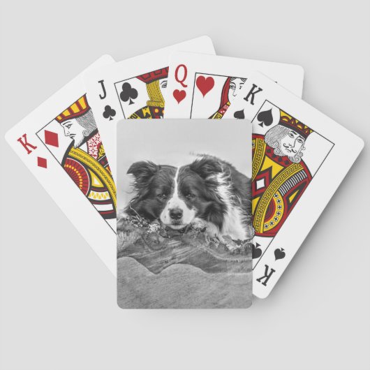 Border Collie Art Pokerkaarten (Achterkant)