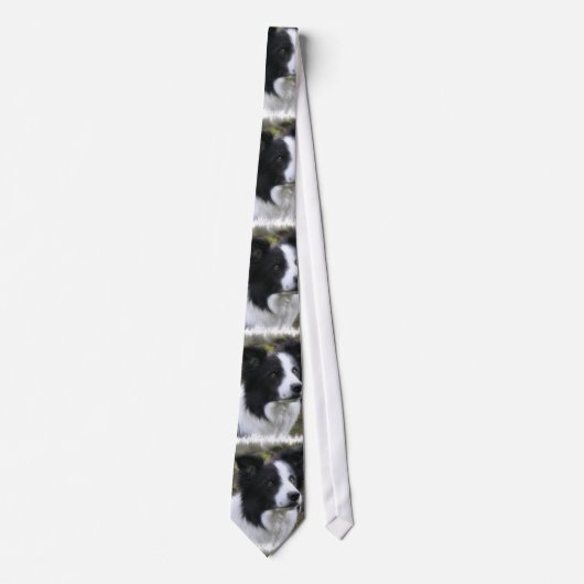 Border Collie Art Stropdas (Voorkant)
