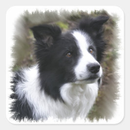 Border Collie Art Vierkante Sticker