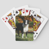 Border Collie Autumn Standing Speelkaarten (Achterkant)