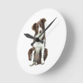 Border Collie (B) - bruin en wit Ronde Klok (Hoek)