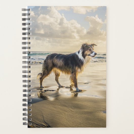 Border Collie Beach Fun | Hond Planner (Voorkant)