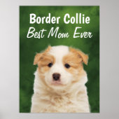 Border Collie Best Mam Poster (Voorkant)