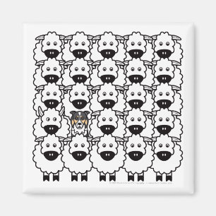 Border collie bij de Schapen Magneet