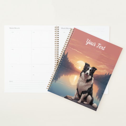 Border Collie bij Lake Planner (Display)