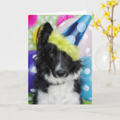 Border Collie Birthday Kaart (Gele Bloem)