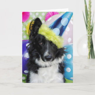 Border Collie Birthday Kaart
