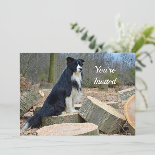 Border Collie Birthday Uitnodiging (Staand voorkant)