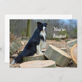 Border Collie Birthday Uitnodiging