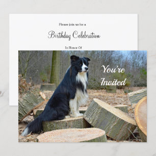 Border Collie Birthday Uitnodiging