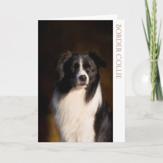 Border Collie Blank Wenskaart Kaart (Voorkant)