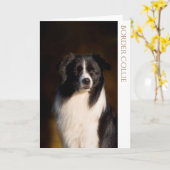 Border Collie Blank Wenskaart Kaart (Gele Bloem)