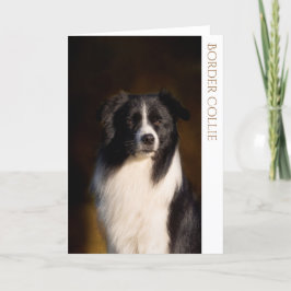 Border Collie Blank Wenskaart Kaart