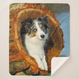 Border Collie Blauw Merle Hondenkop Foto - Sherpa Deken