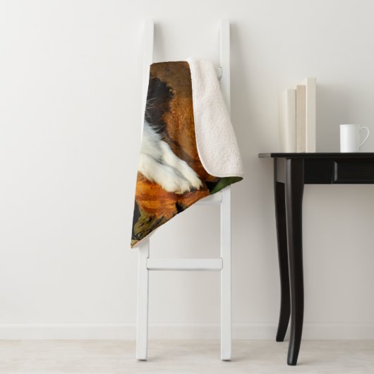 Border Collie Blauw Merle Hondenkop Foto - Sherpa Deken (In situ)