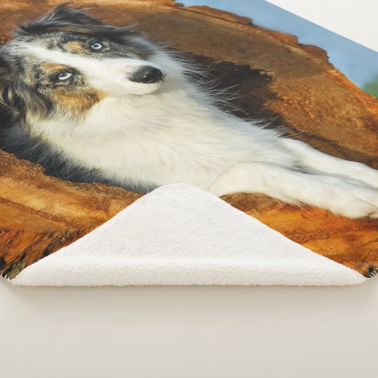 Border Collie Blauw Merle Hondenkop Foto - Sherpa Deken (3/4)