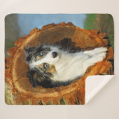 Border Collie Blauw Merle Hondenkop Foto - Sherpa Deken (Voorkant (horizontaal))