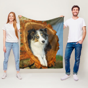 Border Collie Blue Merle Dog Cute Portrait Photo - Fleece Deken