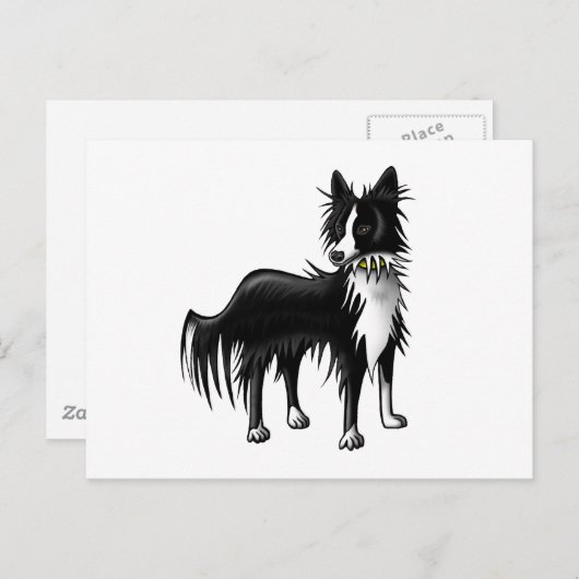 Border Collie Briefkaart (Voorkant / Achterkant)