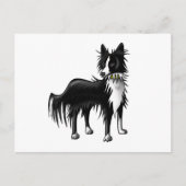 Border Collie Briefkaart (Voorkant)