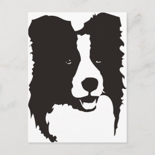 Border Collie Briefkaart
