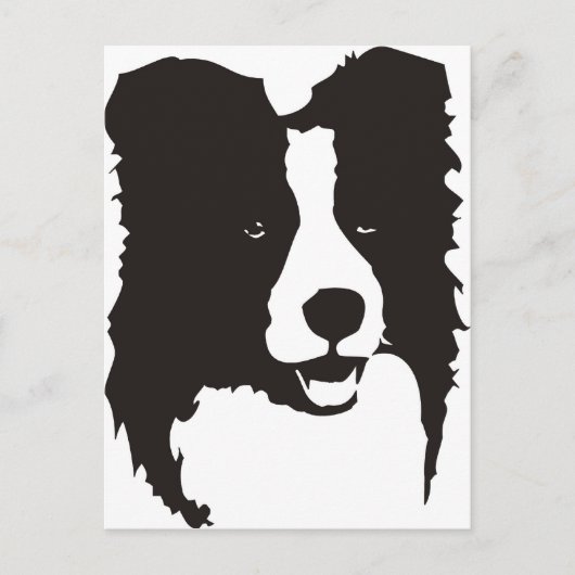 Border Collie Briefkaart (Voorkant)