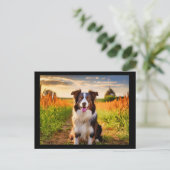 Border Collie Briefkaart (Staand voorkant)